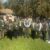 ESN-SA and ZESN ARRIVAL STATEMENT IN MALAWI 2025